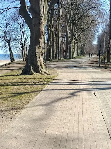 Park im. Feliksa Nowowiejskiego
